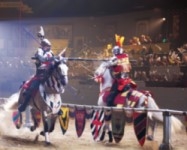 Medieval Times Dinner and Tournament - Buena Park, CA 90620